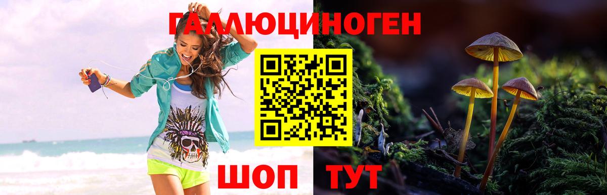 Галлюциногенные грибы Psilocybe  Вход с VPN  Новочеркасск 